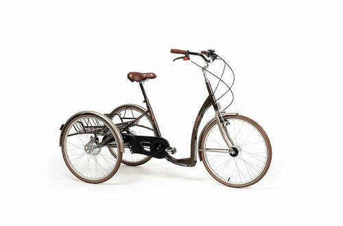 Tricycle 2219 Vintage